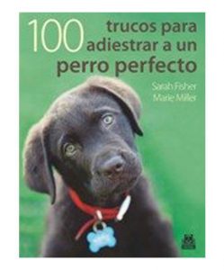 portada libro cachorro observando