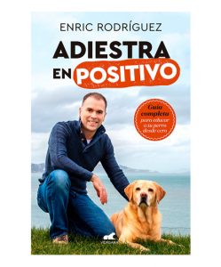 adiestrador y perro en la playa