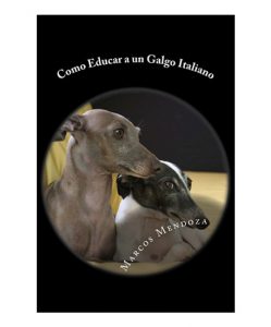 Dos galgos italianos disimulando