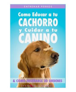 perro golden con galleta obedeciendo