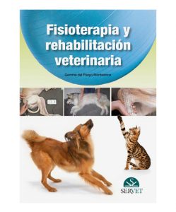 veterinario curando a perro