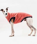 galgo italiano con jersey sin mangas color rosa