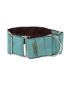 collar martingale anillas reforzadas color turquesa