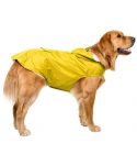 perro con chubasquero amarillo