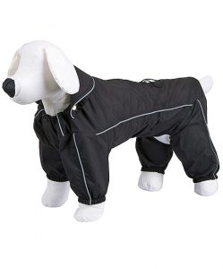 perro con chubasquero negro y bandas reflectantes