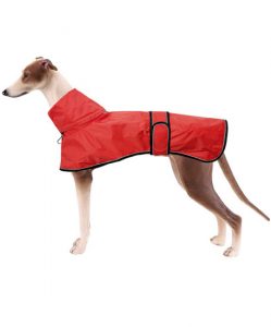 perro con chubasquero rojo cuello alto