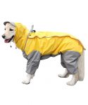 perro con chubasquero amarillo y gris con gorra y mangas
